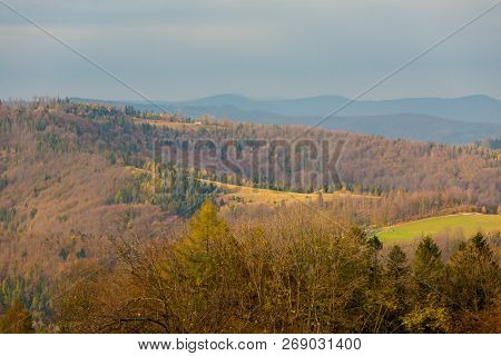 Beautiful Polish Autumn Woods Landscape
