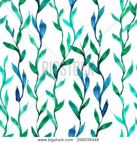 Simlpe Seamless Seaweed Pattern. Abstract Watercolor Free Hand Drawn Illustration For Wrapping, Back