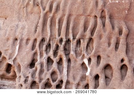 Tafoni Weathering In Red Natural Sandstone Wall.