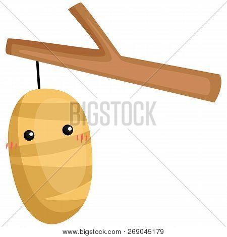 A Vector Of A Cute And Adorable Cocoon