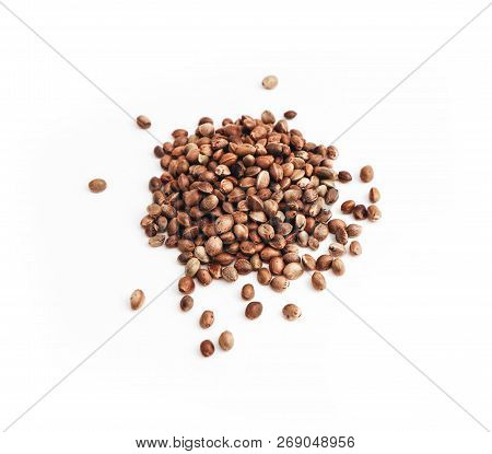 Cannabis Seeds Isolated On White Background. Marijuana Grains, Herbal Treatment Product Macro View.