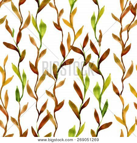 Simlpe Seamless Seaweed Pattern. Abstract Watercolor Free Hand Drawn Illustration For Wrapping, Back
