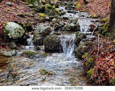 Autumnal Landscape With Forest Of Beech And Mountain Creek, Penna Mount, The Aveto Regional Natural 