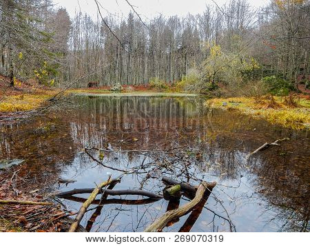 Autumnal Landscape Of Penna Lake, A Small Mountain Pond On Penna Mount, In The Aveto Regional Natura