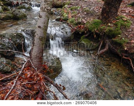 Autumnal Landscape With Forest Of Beech And Mountain Creek, Penna Mount, The Aveto Regional Natural 
