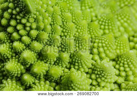 Backgrounds And Textures: Abstract Green Natural Background, Romanesco Broccoli, Close-up Shot, Sele