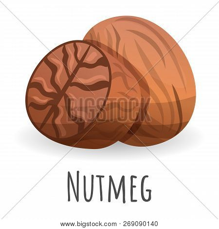 Nutmeg Icon. Cartoon Of Nutmeg Vector Icon For Web Design Isolated On White Background