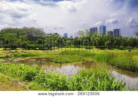 A Small Pond Within The Futian Mangrove Ecological Park In Shenzhen China On A Sunny Day With The Ci