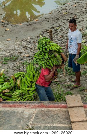 Napo, Peru - July 14, 2015: Cargo Boat Crew Transports Bunches Of Plantains To The Boat Deck. Cargo 