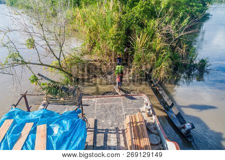 Napo, Peru - July 15, 2015: Cargo Boat Crew Transports Bunches Of Plantains To The Boat Deck. Cargo 