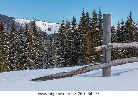 Picturesque Winter Sunny Day Carpathian Mountain View From Skupova Mountain Slope, Ukraine.