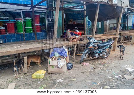 Iquitos, Peru - June 18, 2015: Man Surrounded By Stray Dogs Sleeps At A Belen Market In Iquitos