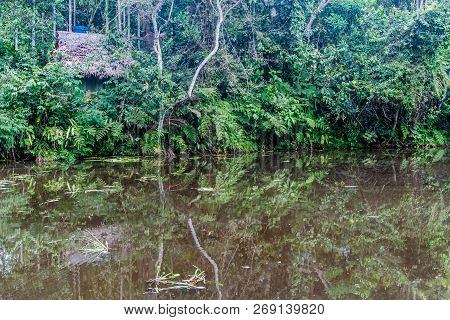 Pond In Amazon Animal Orphanage Pilpintuwasi In Village Padre Cocha Near Iquitos, Peru