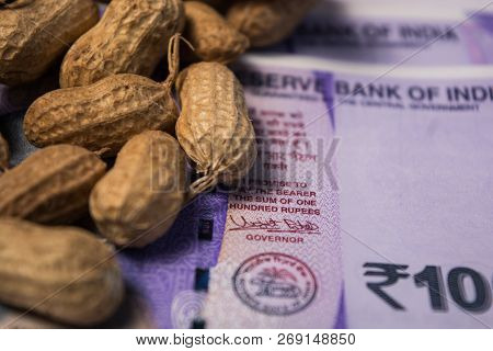 Close Up Of Peanuts Or Groundnuts With Indian Currency Below On Isolated Background.