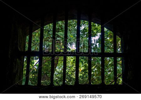 View From A Former Prison At Ile Royale, One Of The Islands Of Iles Du Salut Islands Of Salvation In