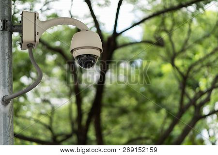 Cctv For Security  In Plublic The Park