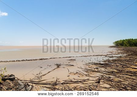Cayenne River Mouth During The Low Tide, French Guiana