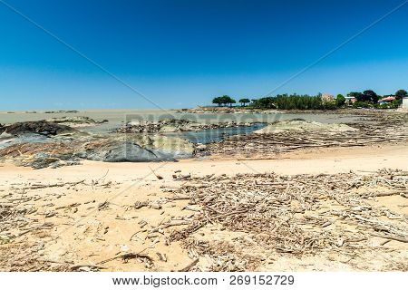 Sea In Cayenne, Capital Of French Guiana, During The Low Tide.