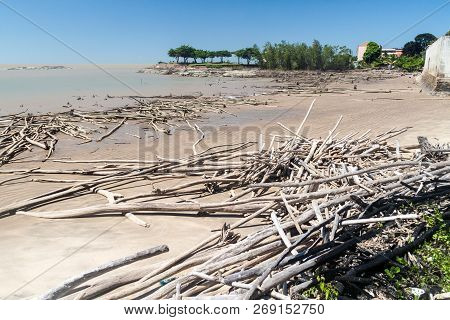 Sea In Cayenne, Capital Of French Guiana, During The Low Tide.