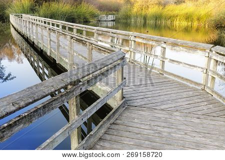Floating Walkways At Neary Lagoon. Santa Cruz County, California, Usa.