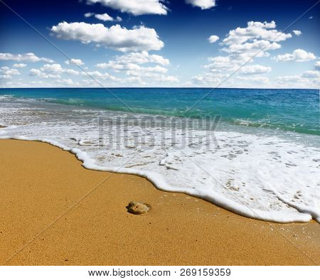 dyllic tropical sand beach