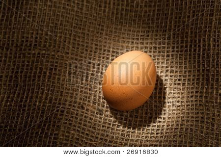 Kananmuna ruskea potkut