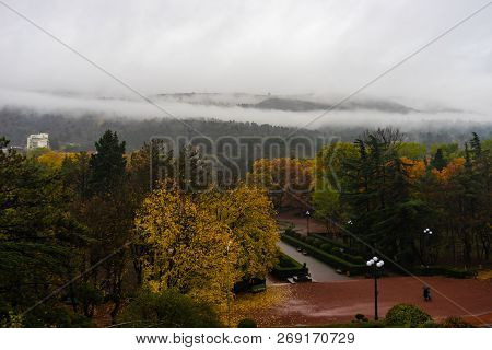Misty Vake Park