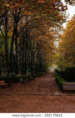 Misty Vake Park