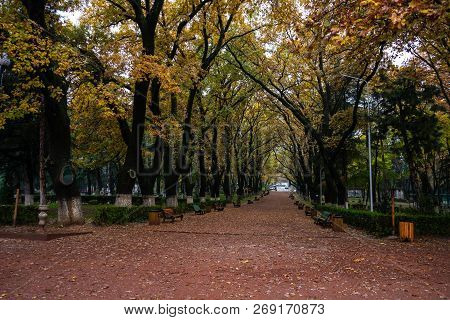 Misty Vake Park
