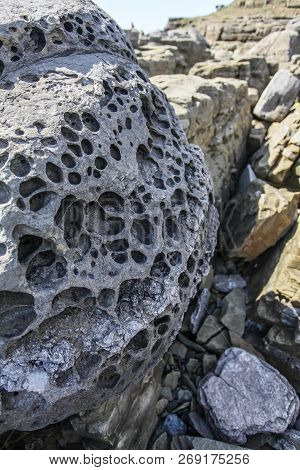 Volcanic Rock Close Up At Sunny Day, Selective Focus
