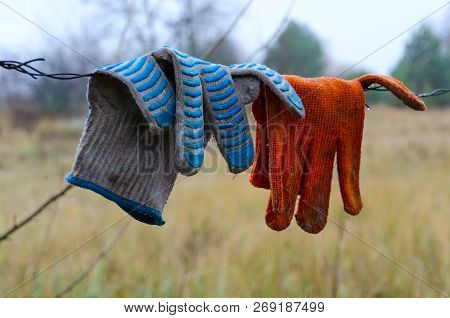 Dirty Work Gloves Hanging On Barbed Wire In Chernobyl Npp Exclusion Zone, Ukraine
