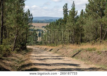 Panoramic Landscape Along The Camino De Santiago Trail Between Lugo And Melide, Galicia, Spain