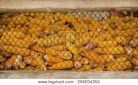Corn Storage In A Silo, Ideal For Background