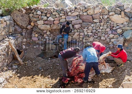 Tilcara, Argentina  - April 10, 2015: Group Of Local People Is Cutting A Cow Near Tilcara Village.