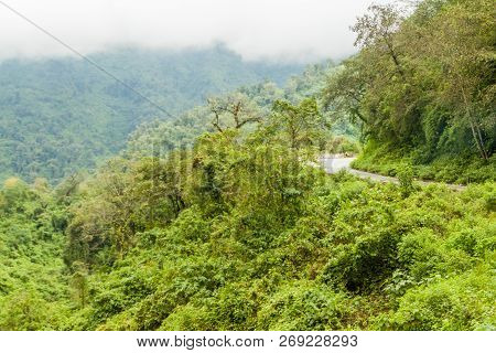 Mountains Covered With A Lush Forest Along A Road From San Miguel De Tucuman To Tafi Del Valle, Arge