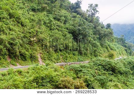Mountains Covered With A Lush Forest Along The Road From San Miguel De Tucuman To Tafi Del Valle, Ar