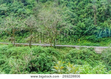 Mountains Covered With A Lush Forest Along The Road From San Miguel De Tucuman To Tafi Del Valle, Ar