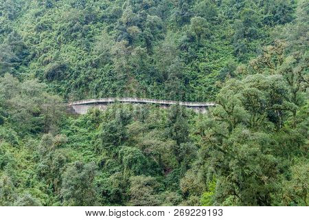 Mountains Covered With A Lush Forest Along The Road From San Miguel De Tucuman To Tafi Del Valle, Ar