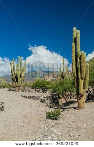 Ruins Of Ancient Pre-inca Town Quilmes, Argentina