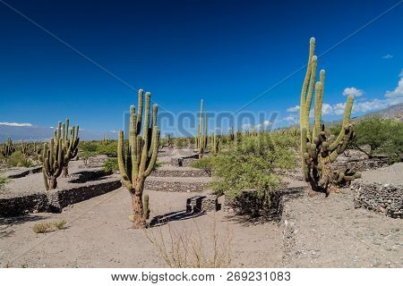 Ruins Of Ancient Pre-inca Town Quilmes, Argentina