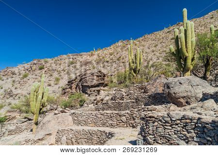 Ruins Of Ancient Pre-inca Town Quilmes, Argentina