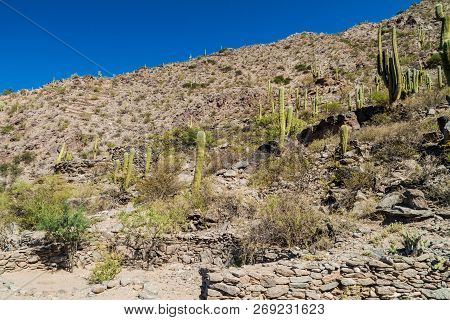 Ruins Of Ancient Pre-inca Town Quilmes, Argentina