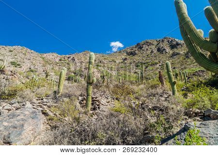 Ruins Of Ancient Pre-inca Town Quilmes, Argentina