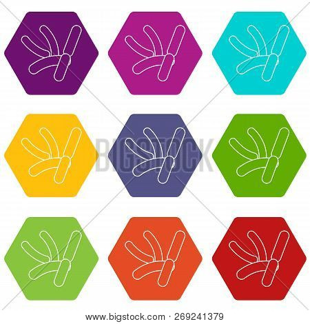 Bacilli Icons 9 Set Coloful Isolated On White For Web