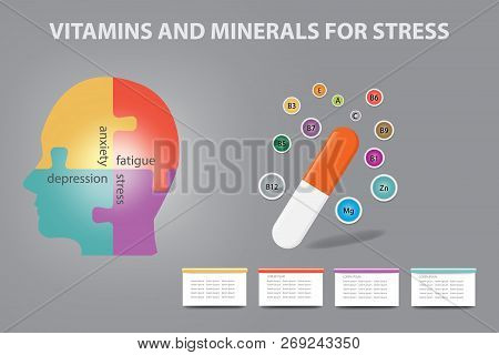 Anti Stress Vitamins And Minerals Infographic Vector Showing Capsule And The Human Head Divided Into