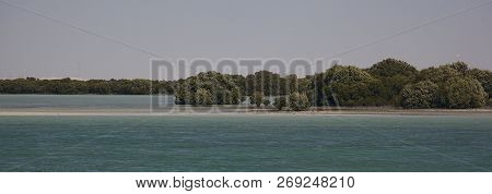 View Across A Lagoon To Mangroves In Al Khor, Qatar