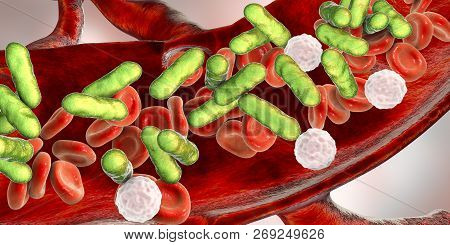 Sepsis, Bacteria In Blood. 3d Illustration Showing Rod-shaped Bacteria With Red Blood Cells And Leuk