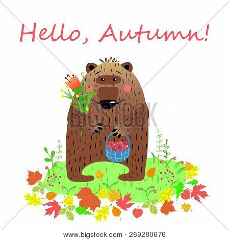 Hello Autumn Card With Cartoon Character Bear, Vector Illustration.