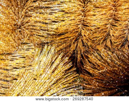 Golden Christmas Decorations. Christmas Decoration With Shiny Glare. Interior Of A Store Or Shop