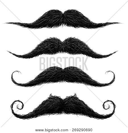 Old Fashion Upper Lip Long Wax Groomed And Trimmed Fake Moustaches Set Abstract Vector Illustration